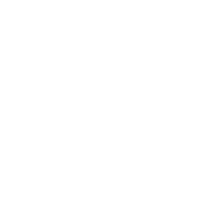شبکه نمایش
